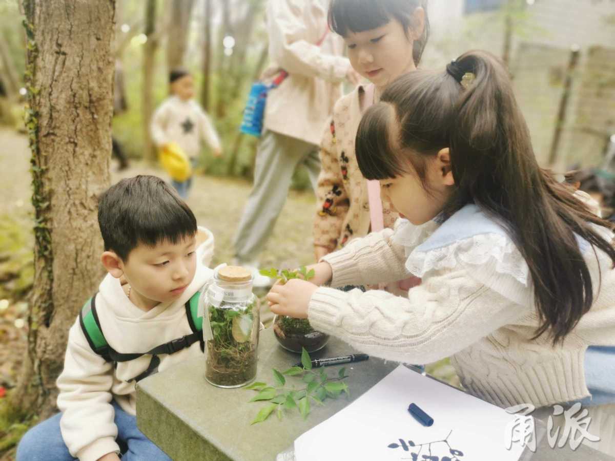 宁海这些孩子和春天的约会：寻找100种植物_凤凰网, image size:1200x900