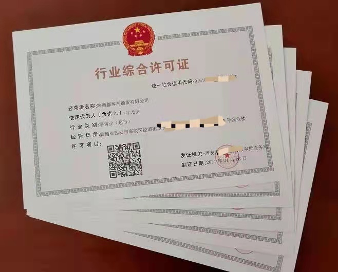 高陵区行政审批局颁发的商品零售业、药品零售业、人力资源服务业、宾馆住宿业、网吧业5个行业的首张行业综合许可证