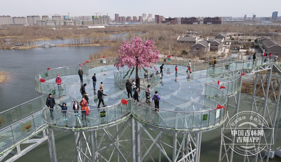 玻璃廊桥落户北湖长春又多一网红打卡地