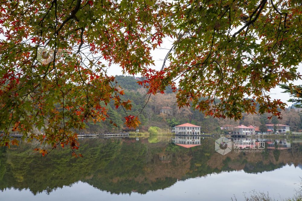 朱虹:中华名人在江西