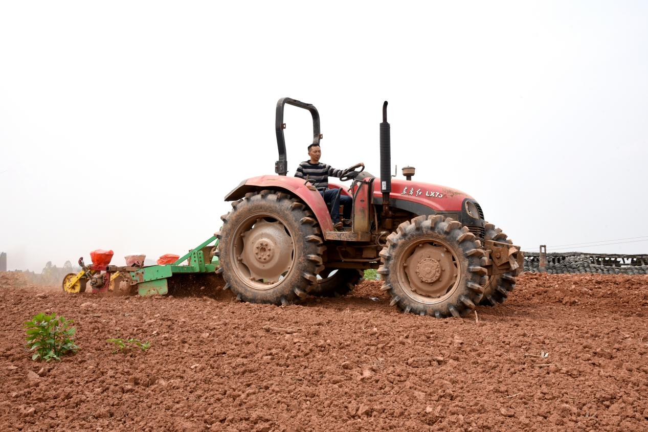潼南加快现代农业发展推动乡村振兴开新局