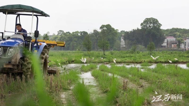 锦江镇有多少人口_上高 规范农村宅基地管理 建设和谐秀美新乡村(2)