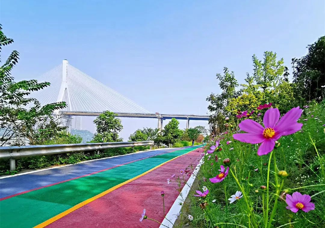 千江凌云段 巴滨路实景图