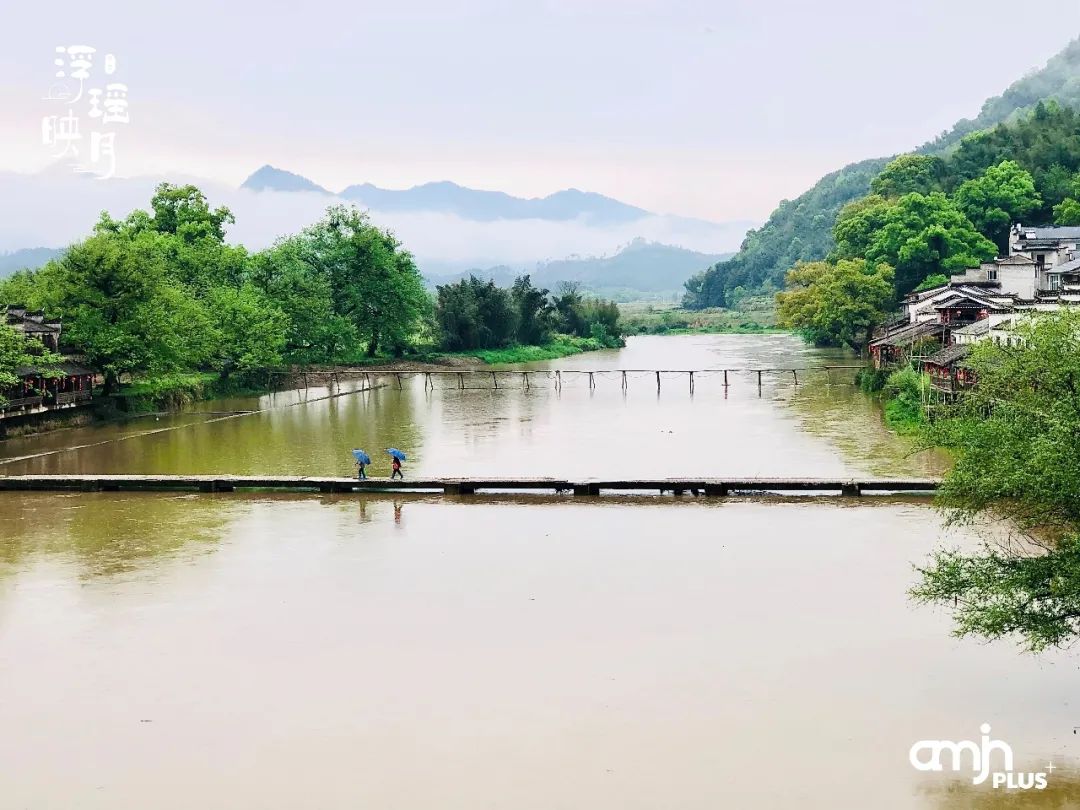供图 | 范小羊