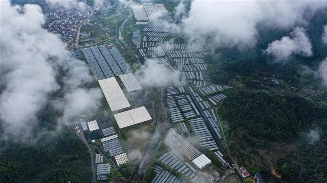 武义寿仙谷药业登上人民日报海外版聚焦中医药培养大健康产业