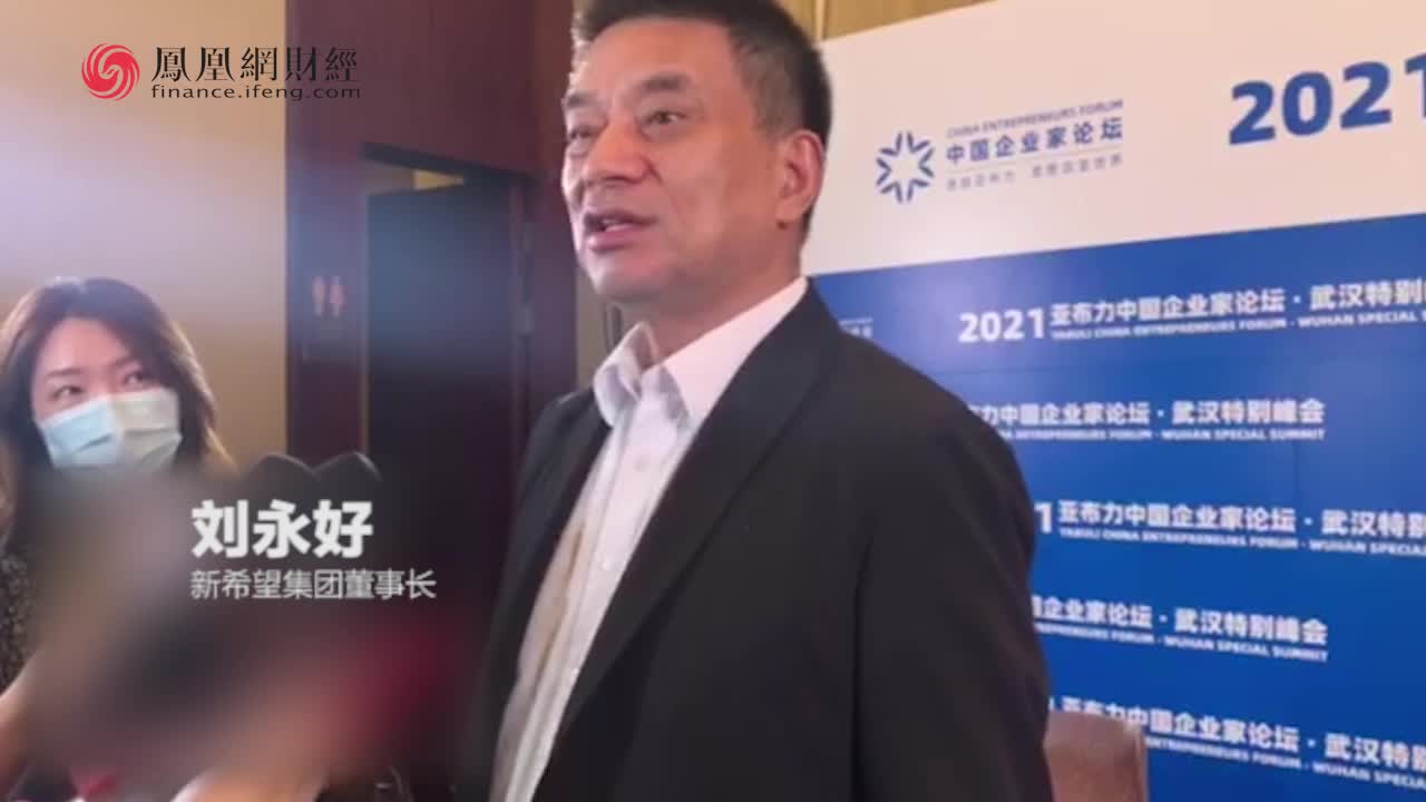 刘永好：解决农村现代化的困难，要增加农民的收入 