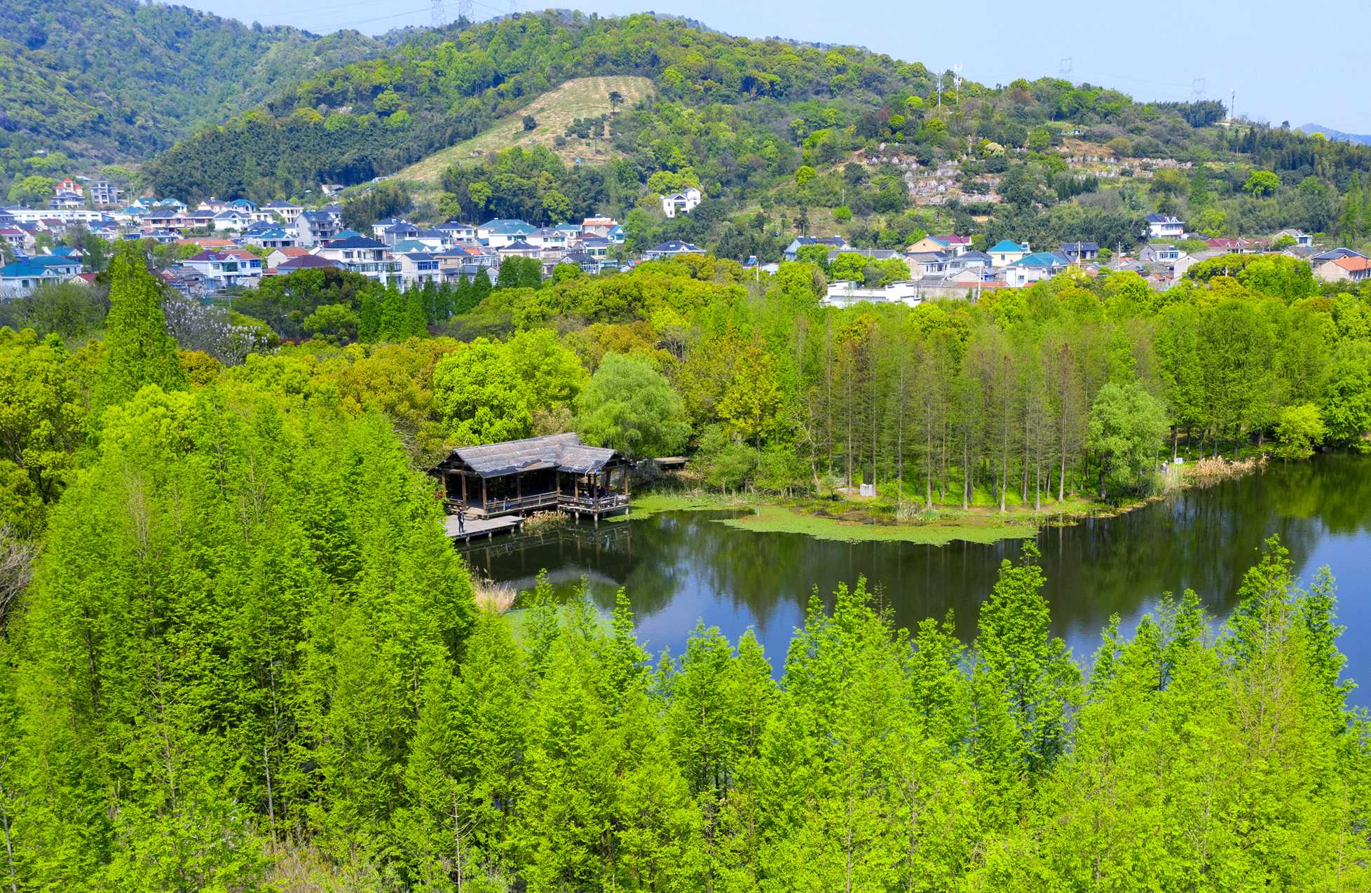 清明时节,慈湖绿意盎然