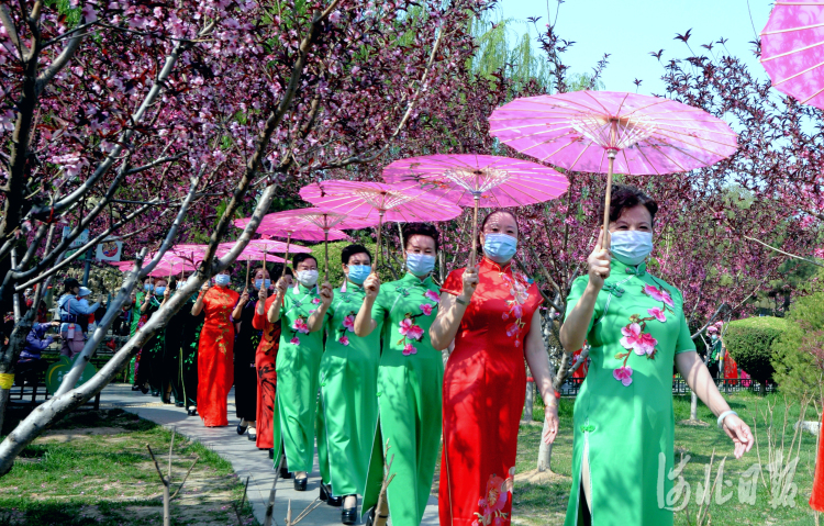 2021年4月7日，在河北省石家庄市平安公园内，平安公园雪绒花模特队在进行游园。河北日报记者杜柏桦摄影报道