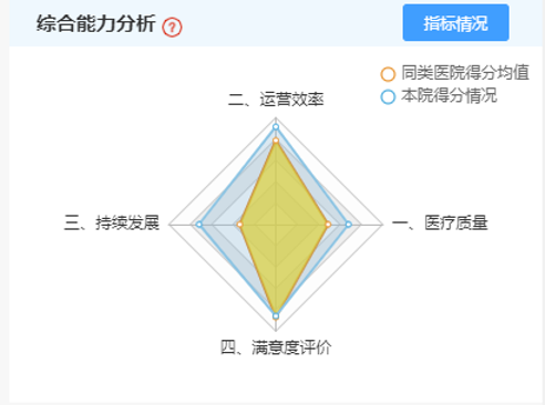 注:数值点在正方形对角线的位置离中心越远,表示得分越高。反之,表示得分越低。