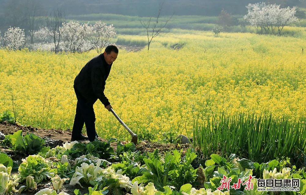 李旭春/摄
