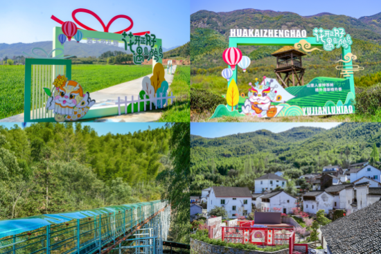 花开正好遇见鸬鸟鸬鸟镇山花节正式启幕