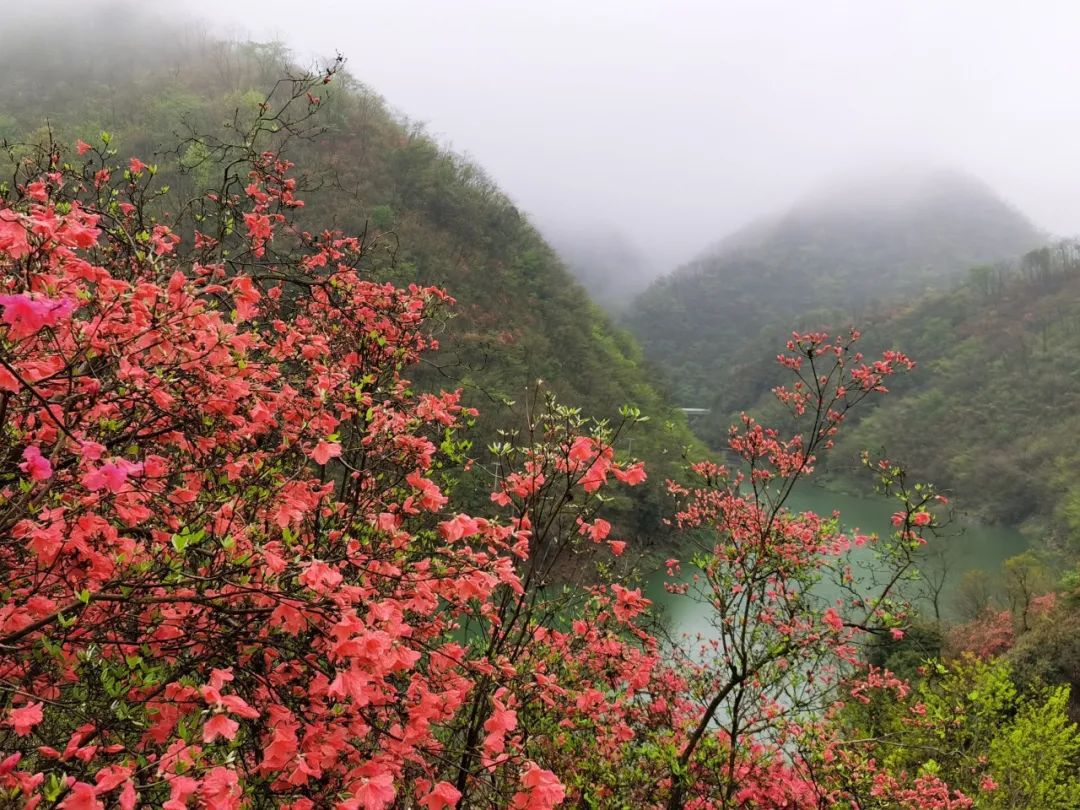 春游江淮请您来