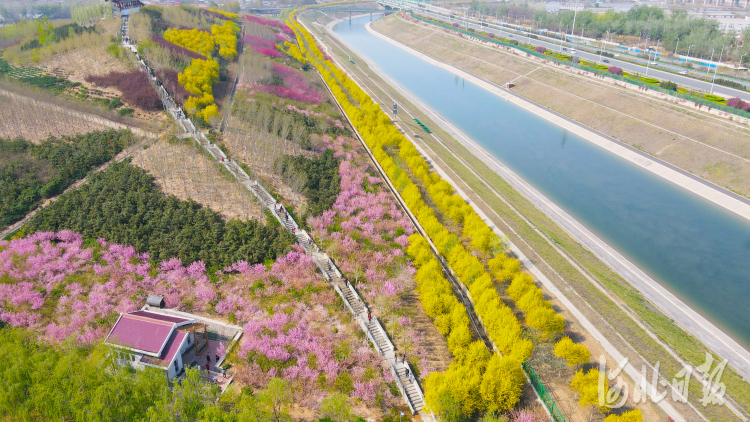 河北石家庄 踏青赏景乐享假期 凤凰网