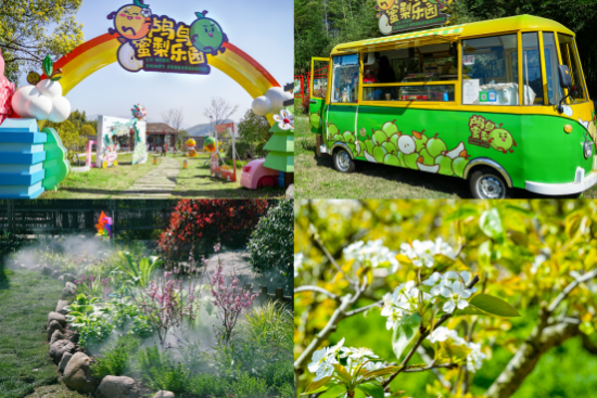 花开正好遇见鸬鸟鸬鸟镇山花节正式启幕