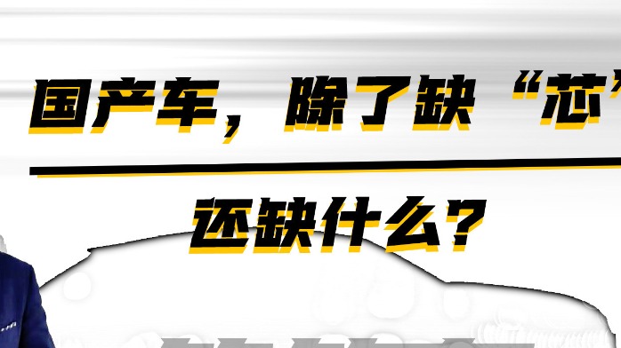 国产车除了缺芯还缺什么