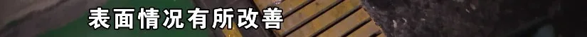 “金茂府”地库常冒水,业主希望治标更能治本