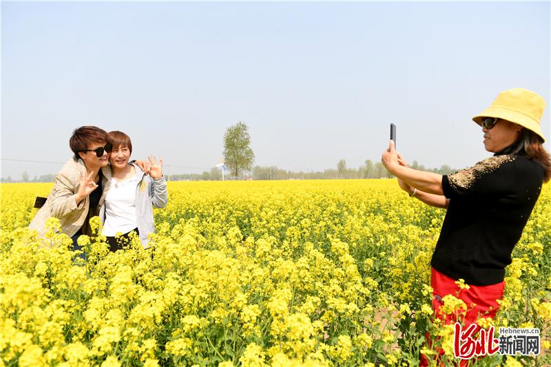 万亩油菜花盛开绽放，游客在花中畅游。通讯员苗凤强摄