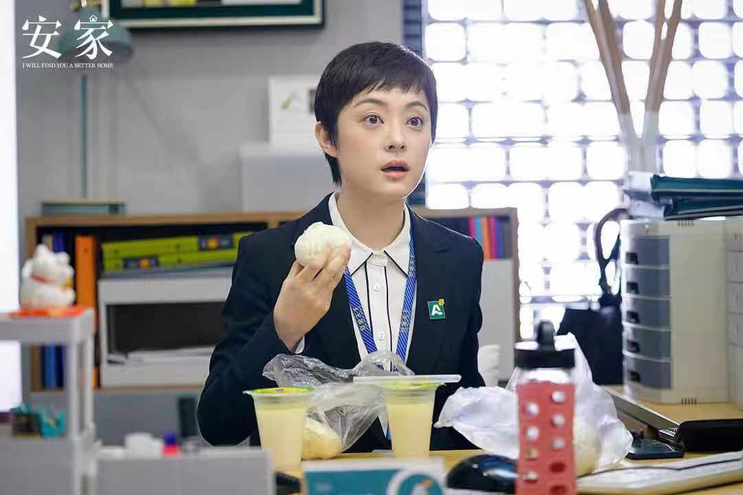 孙俪主演《安家》