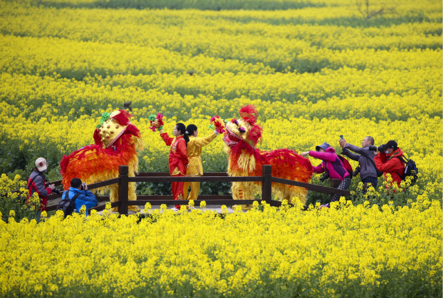 江苏兴化千垛菜花旅游节开幕。3月18日，人们在兴化市千垛景区进行舞狮表演。新华社图。