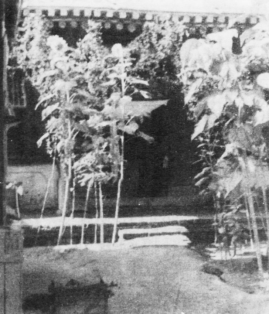 中共甘肃工委机关——兰州周家庄五号 资料图