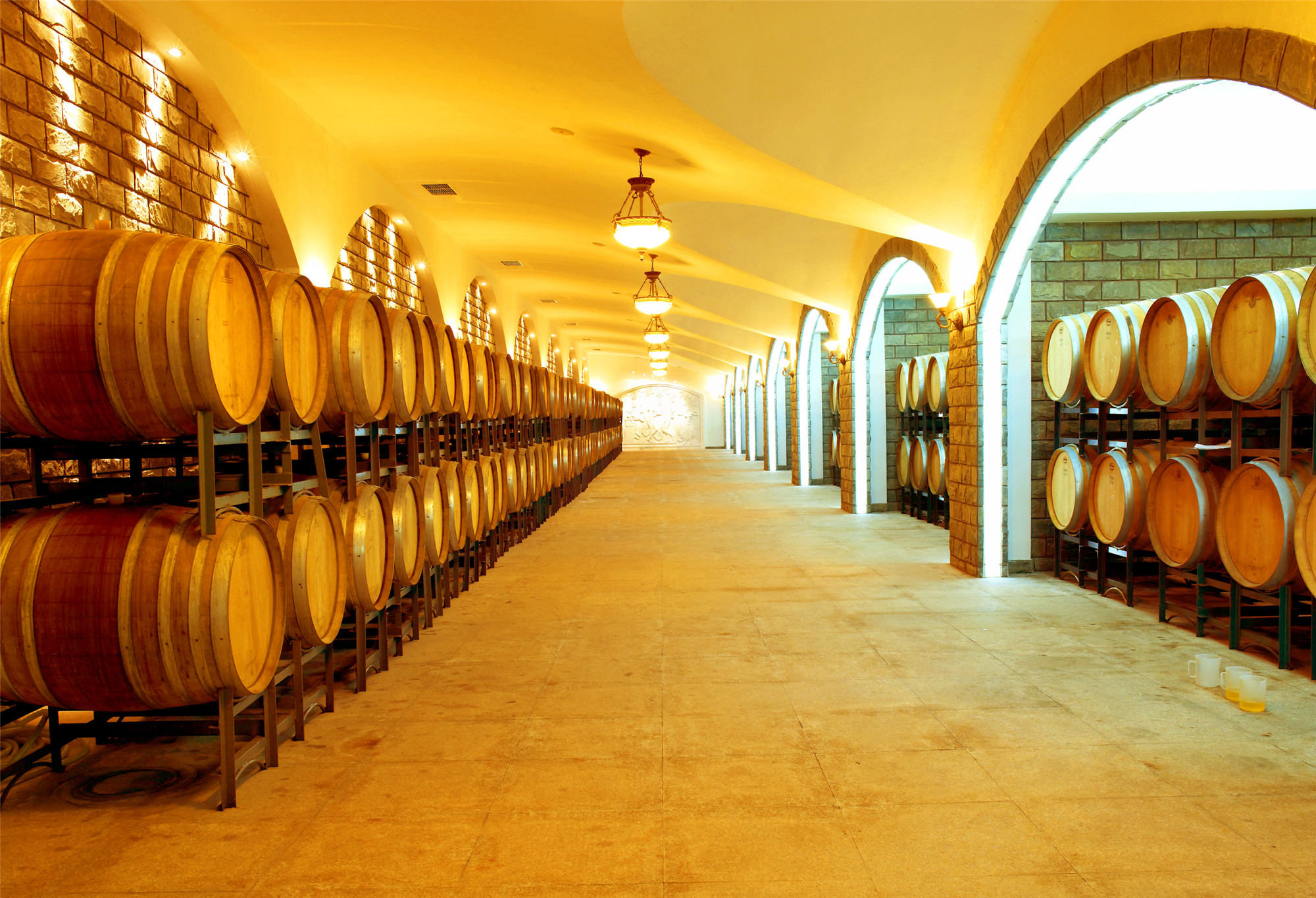 春之约 沙子口是个好地方：走进华东百利酒庄