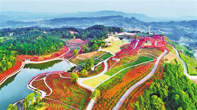 巴南多彩植物园