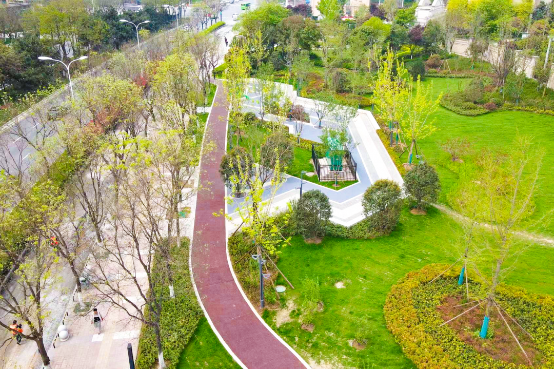 欧亚大道路侧绿带提升工程