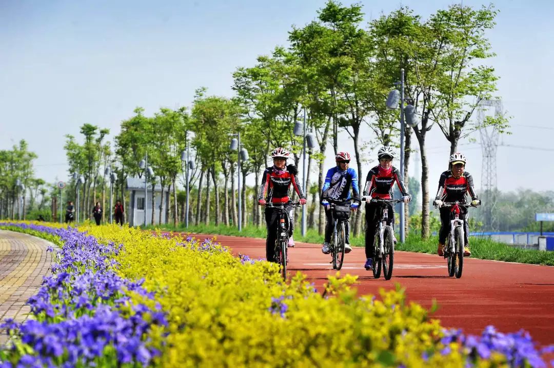 沣东新城绿色新城展现沣东生态新画卷