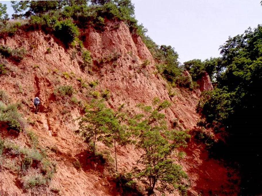 图1 朝那剖面红黏土地层