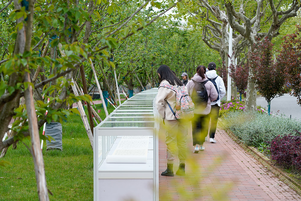 学生欣赏《兰亭序》书法作品