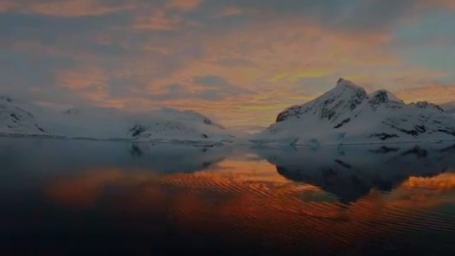 在19-20世纪，南极多种动物惨遭人类屠杀、几近灭绝