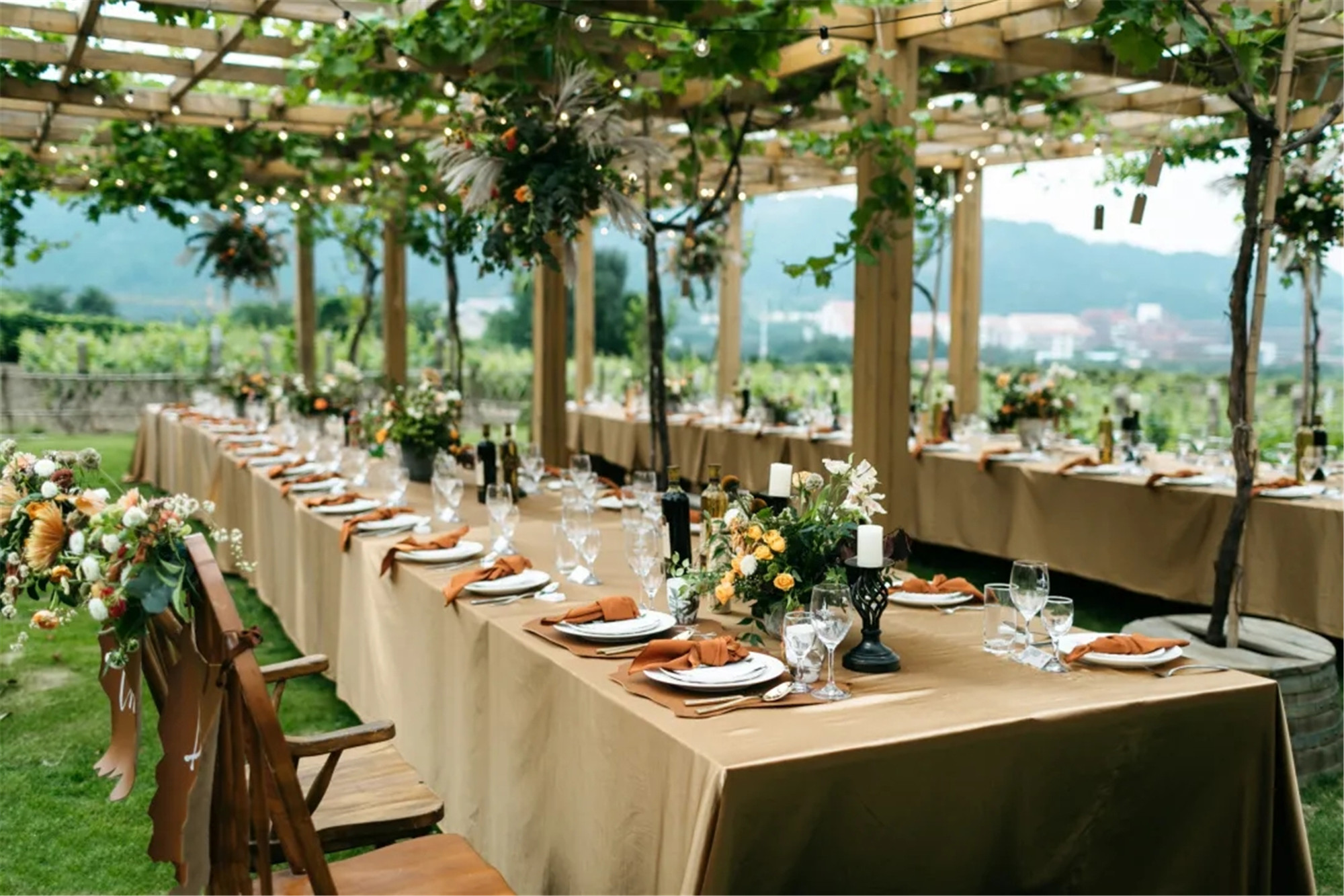 春之约 沙子口是个好地方：走进华东百利酒庄