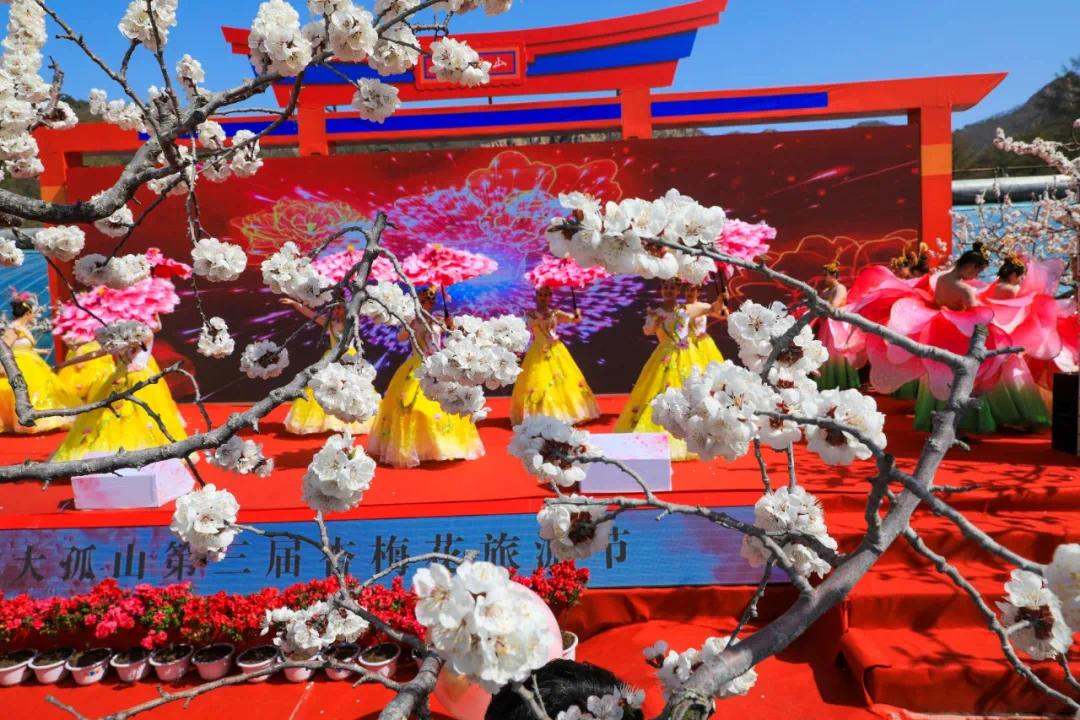 丹东大孤山杏梅花节开幕30张美图曝光盛会持续3天