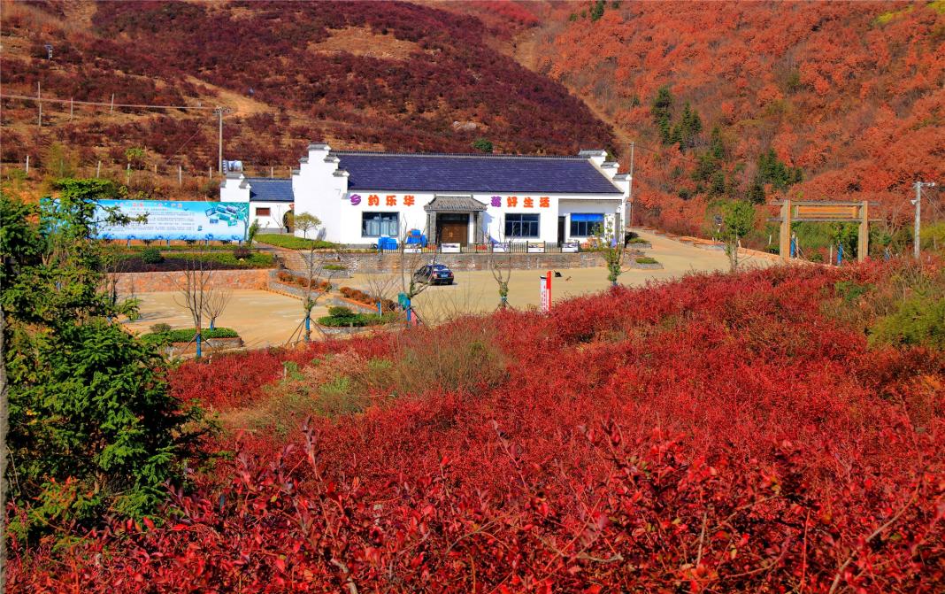 庐江县矾山镇多点发力为乡村振兴赋能加码