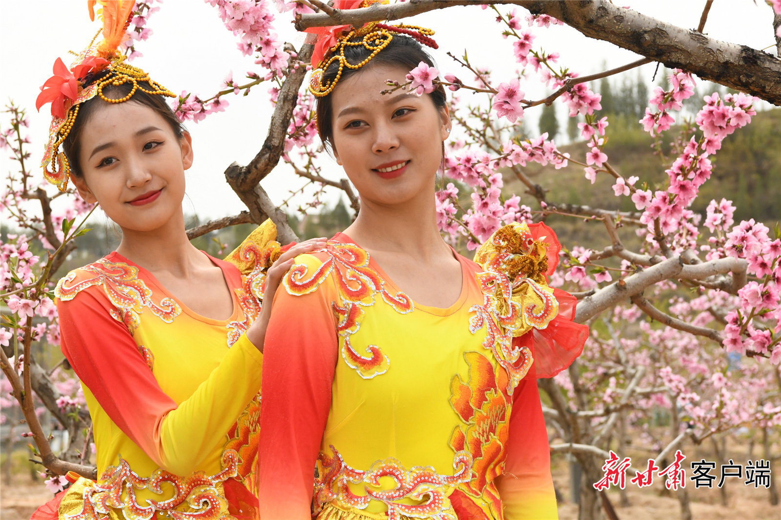 人面桃花相映红