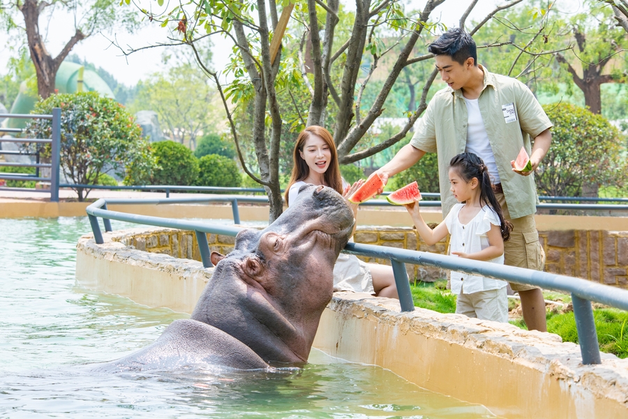 泉城欧乐堡动物王国:坐上缆车看动物,沉浸不一样的旖旎春光
