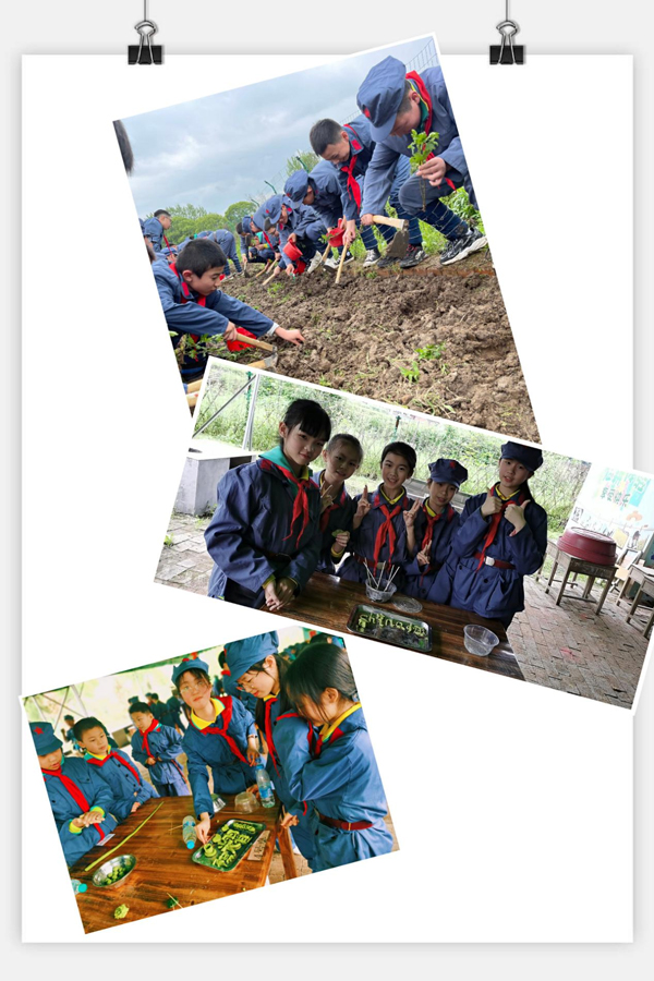 宜春市宜阳学校:传红色基因 品乡间农趣