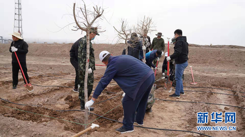 4月8日，在甘肃省张掖市高台县一处义务植树造林点，干部群众正在植树。（高台县委宣传部供图）