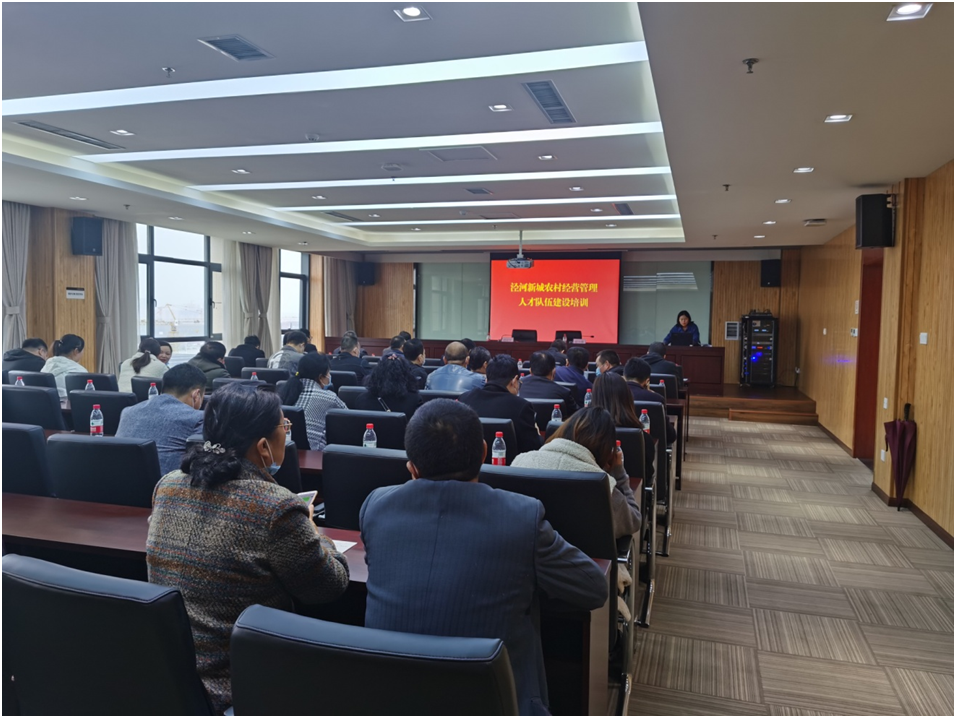 泾河新城实施“三大工程”激发人才资源活力