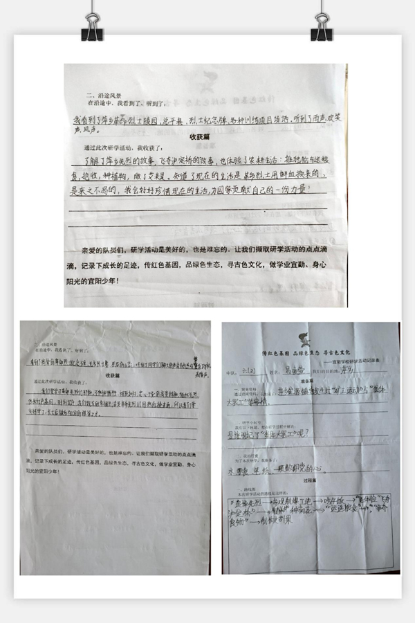 宜春市宜阳学校：传红色基因 品乡间农趣