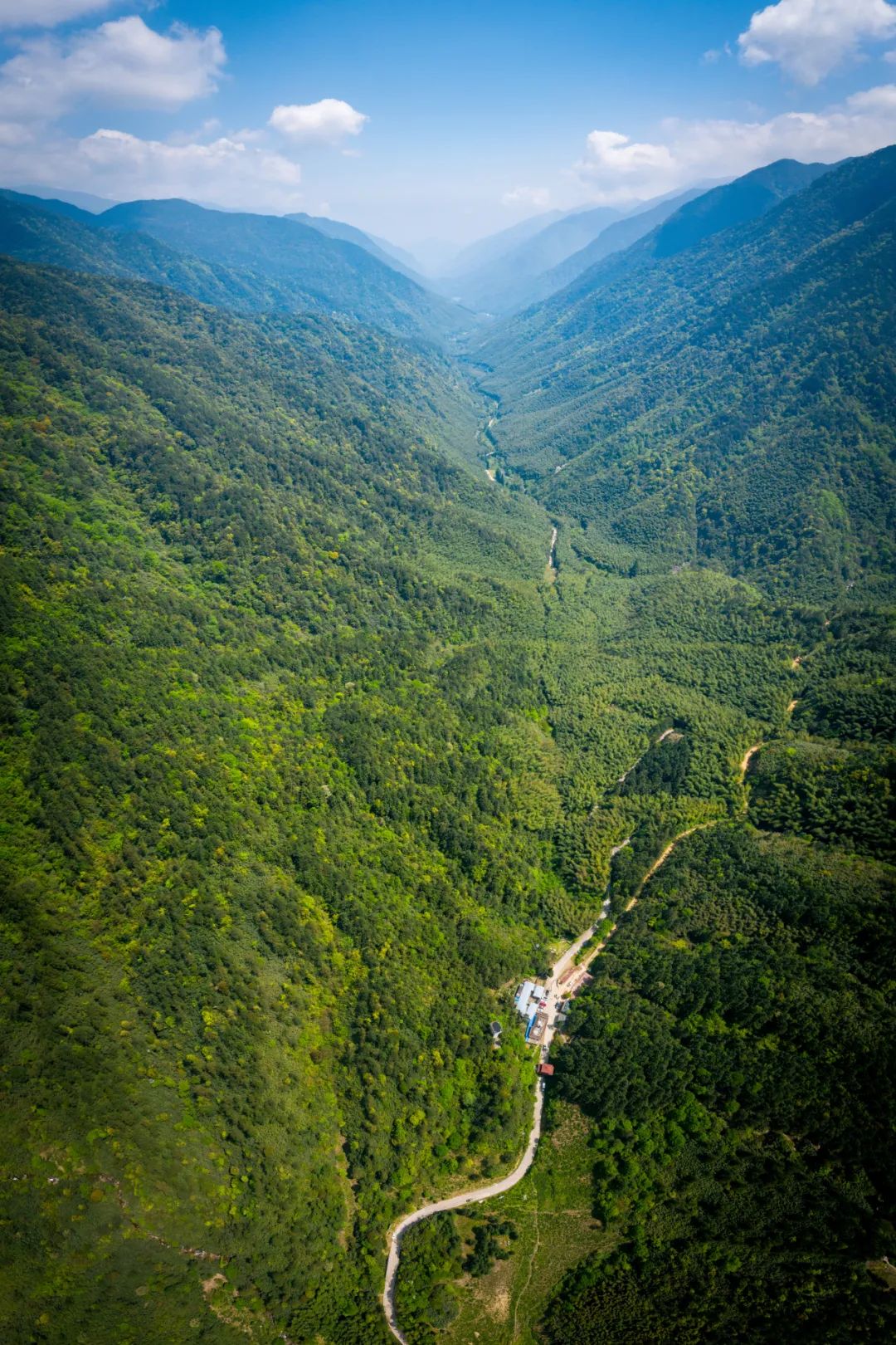 真迹 办公室客厅风水画靠山图若冰六尺泰山日出 无水山水画W849