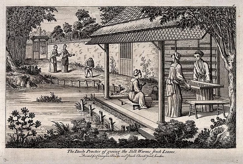 展示中国古代养蚕业的版画。  维基百科 图