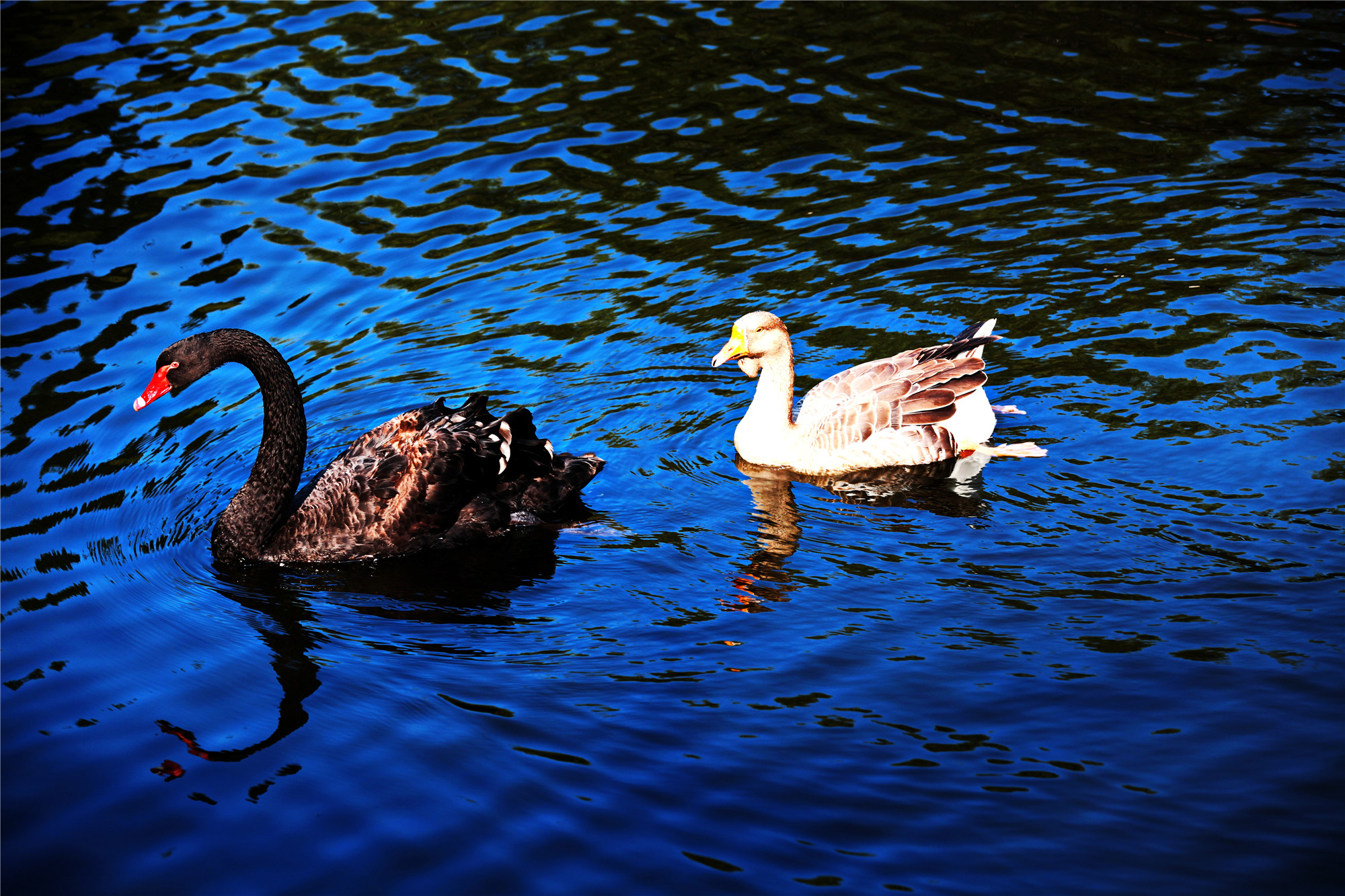 春之约 沙子口是个好地方：走进华东百利酒庄