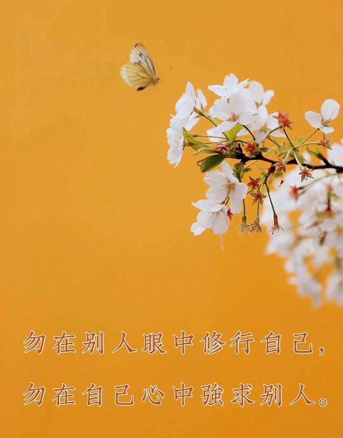 饭要一口一口吃 路要一步一步走 事要一点一点做 心要一秒一秒平 罪从 凤凰网