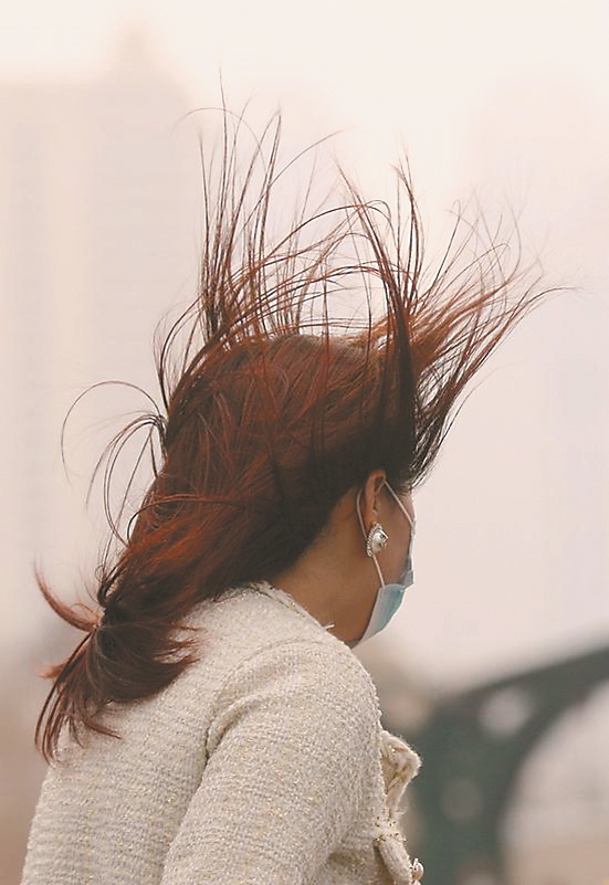 哈尔滨大风天 张澍 摄