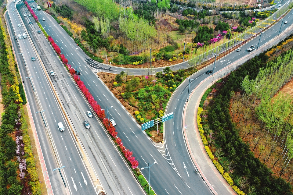 绿染龙城 花满两路