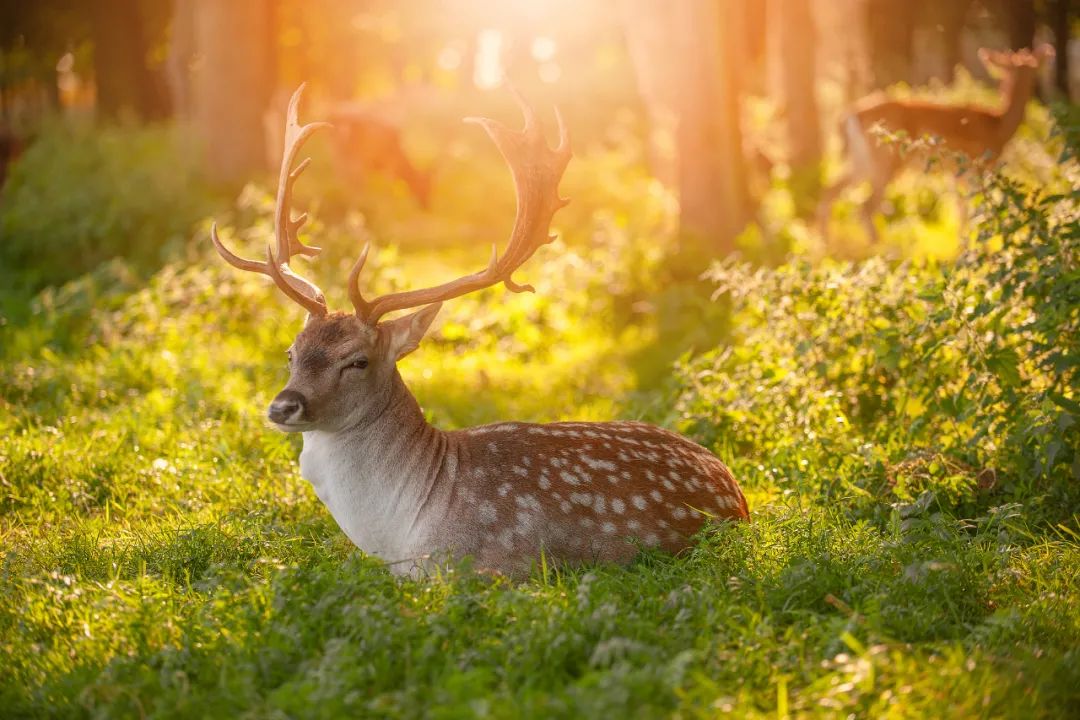 ©butusovmedia/locationscout.net