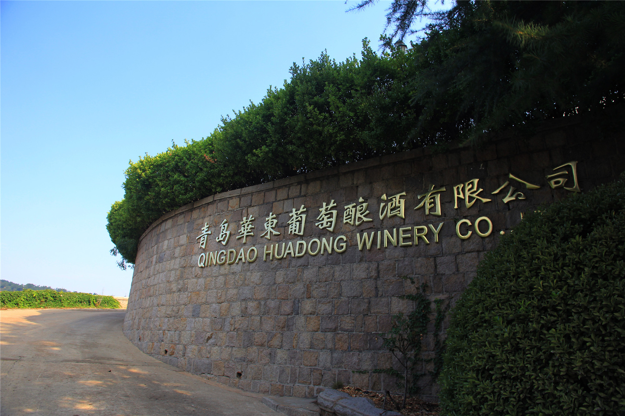 春之约 沙子口是个好地方：走进华东百利酒庄