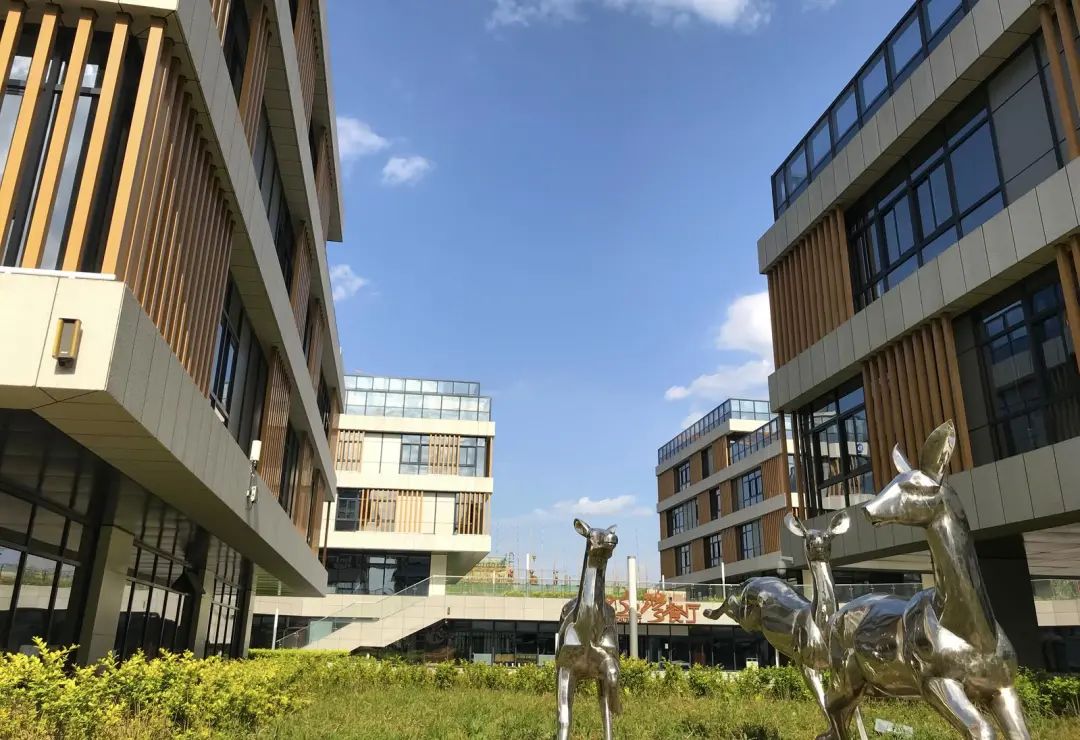 沣东自贸产业园打造数字经济的"西咸样板"凤凰网陕西_凤凰网