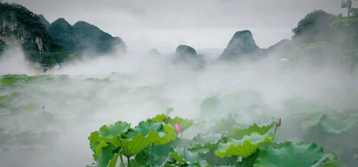 图自小红书博主 朱迷你Claire